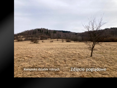 Działka rolna Koszarawa