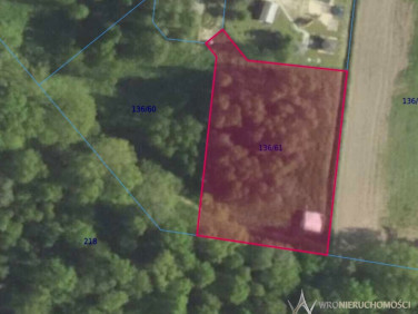 Działka Białe Błoto