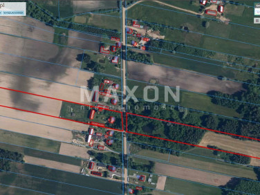 Działka Ślepowrony