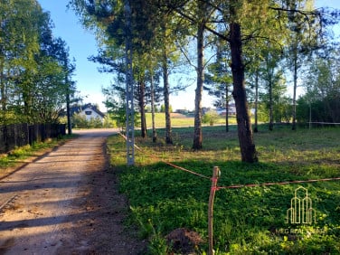 Działka Studzianki
