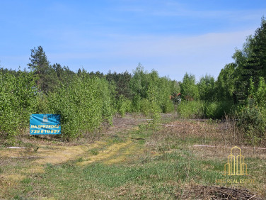 Działka Markowszczyzna