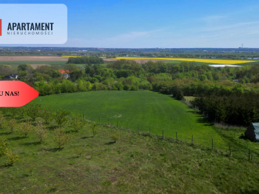 Działka Opalenie