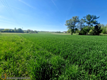 Pusta działka Cianowice małe
