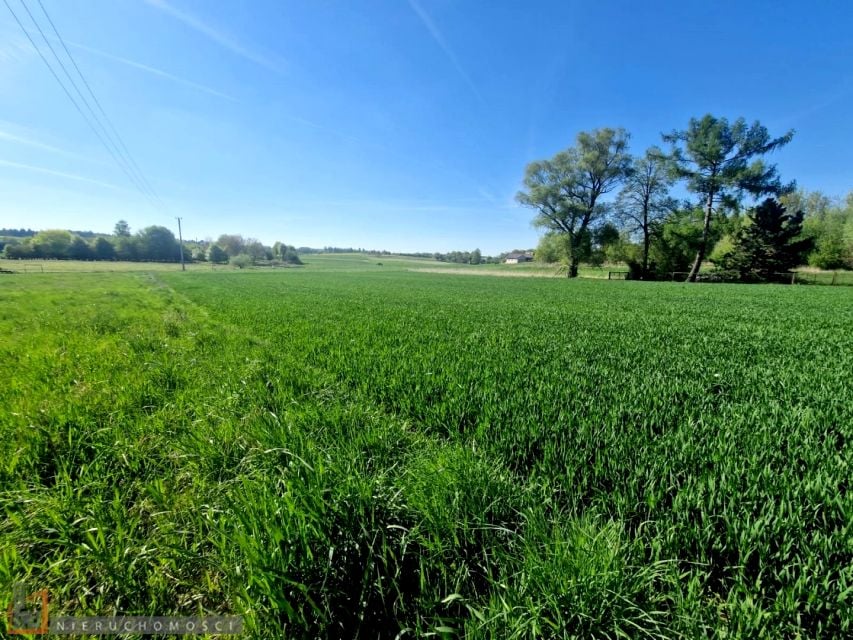 Pusta działka Cianowice małe
