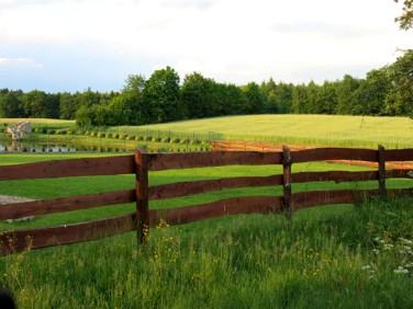 Działka inna Kolonia