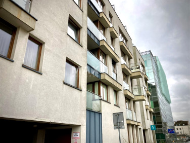 Lokal Kraków