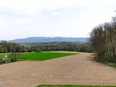 Działka budowlana Międzyrzecze Górne