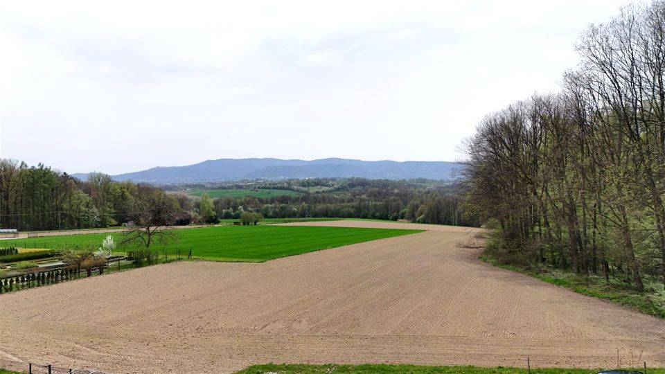 Działka budowlana Międzyrzecze Górne
