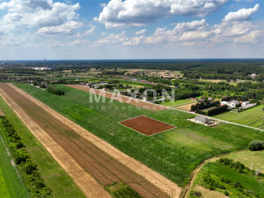 Działka Topola
