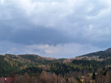 Działka budowlana Zawoja