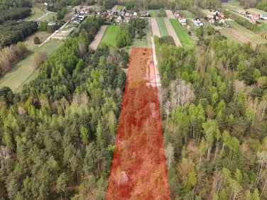 Działka Wincentów