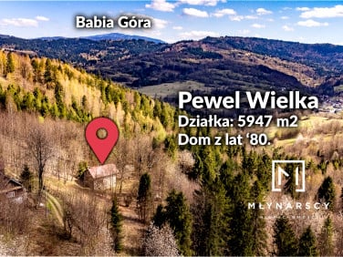 Dom Pewel Wielka