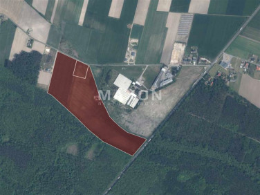 Działka Podzborów