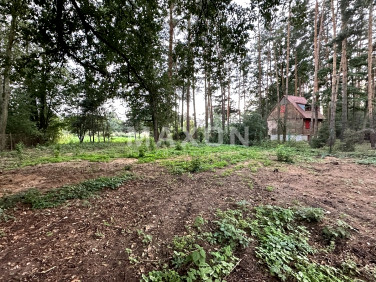 Działka Skrzeszew