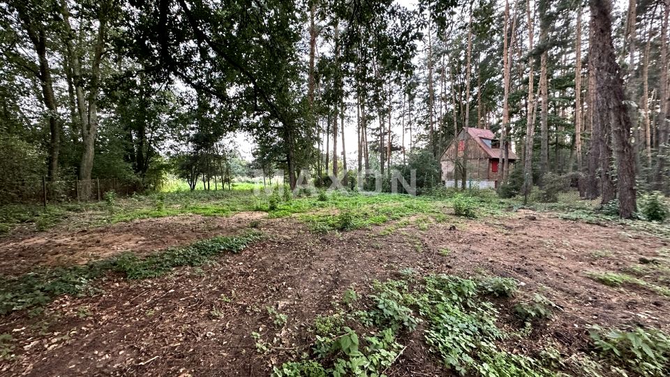 Działka Skrzeszew