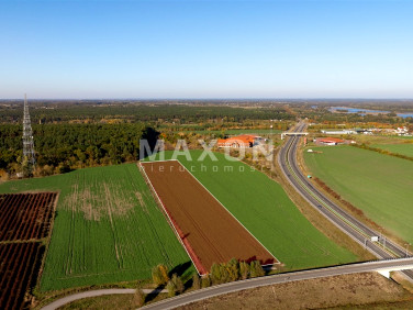 Działka Wierzbica