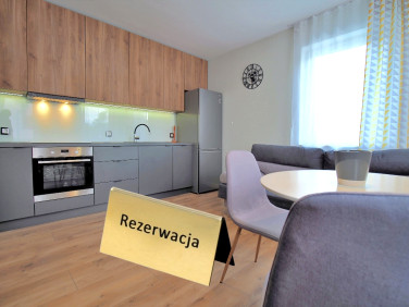 Mieszkanie apartamentowiec wynajem