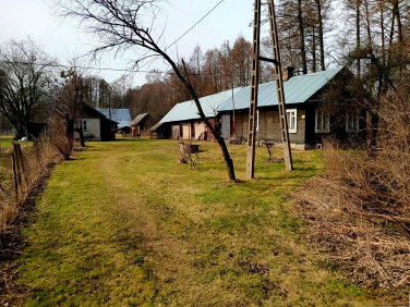 Działka siedliskowa Ryboły