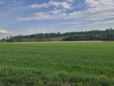Działka budowlana Ligota Toszecka
