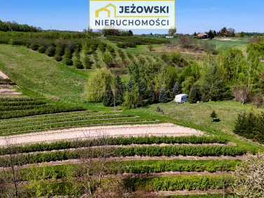 Działka Rzeczyca