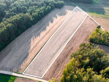Działka rolna Jesionka