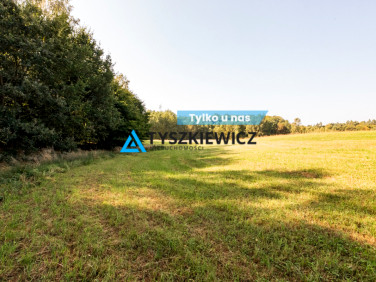 Działka Ełganowo
