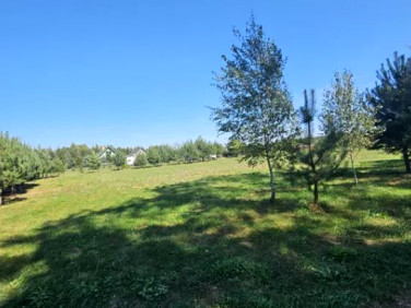 Działka budowlana Sekłak