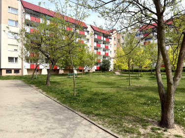 Mieszkanie przy lesie