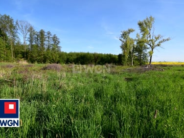 Działka budowlana Obiszów