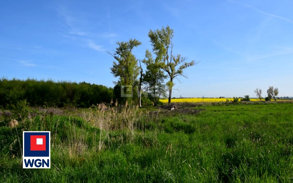Zdjęcie 3
