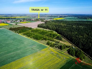 Działka przy lesie