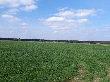 Działka budowlano-rolna Lisiewice Małe