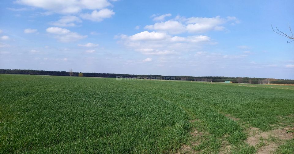 Działka budowlano-rolna Lisiewice Małe