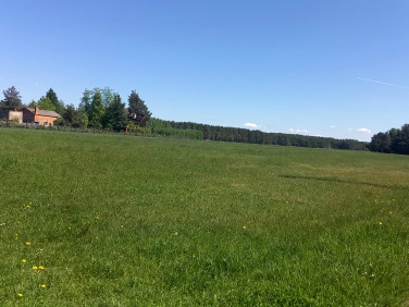 Dom Chróścice sprzedaż