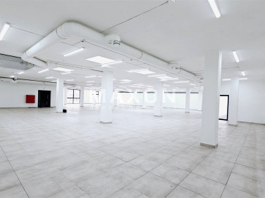 Lokal Piaseczno