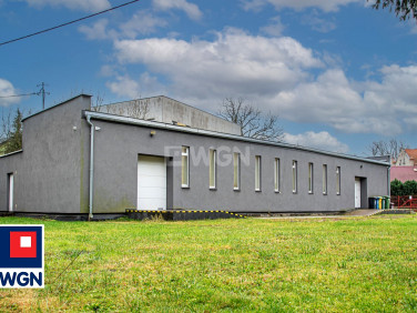 Lokal Bolesławiec