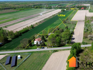 Dom Grzybów