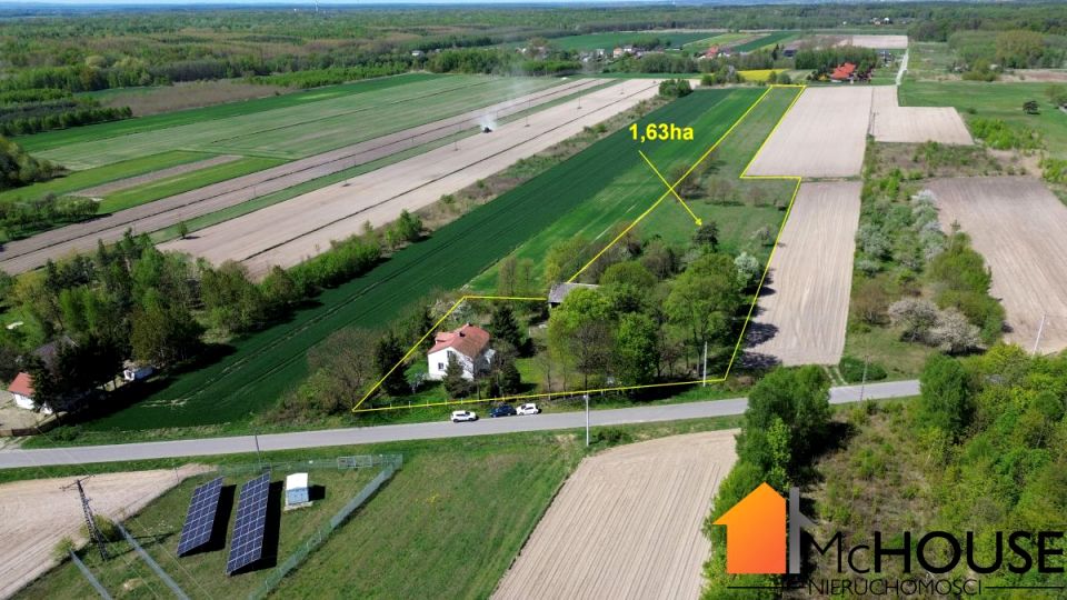 Dom Grzybów
