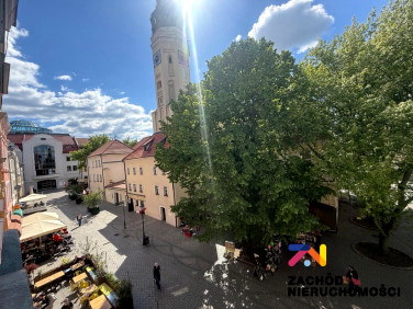 Lokal Zielona Góra