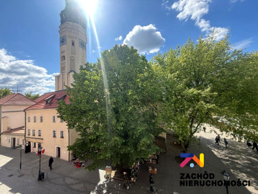 Lokal Zielona Góra