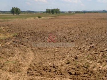 Działka Chociwel