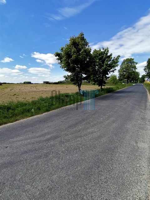 Działka Kozielec