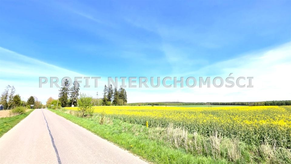 Zdjęcie 3