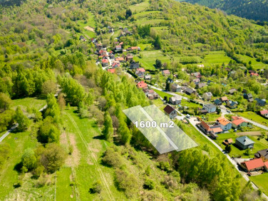 Działka Rychwałdek