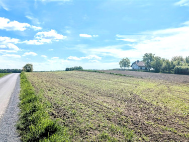 Działka Rzuchów