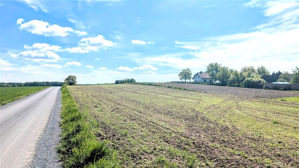 Działka Rzuchów