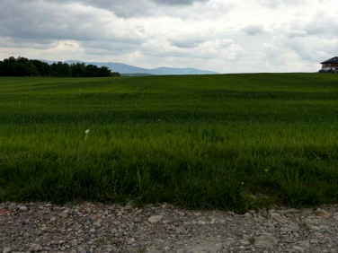 Działka budowlana Międzyrzecze Dolne