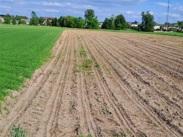 Pusta działka Opatów