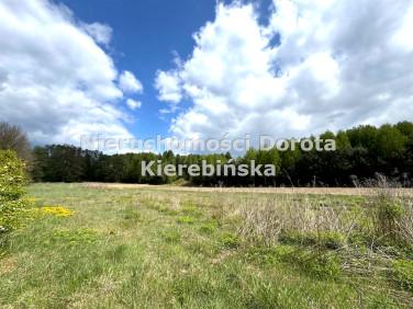Działka inwestycyjna Bukowiec nad Pilicą
