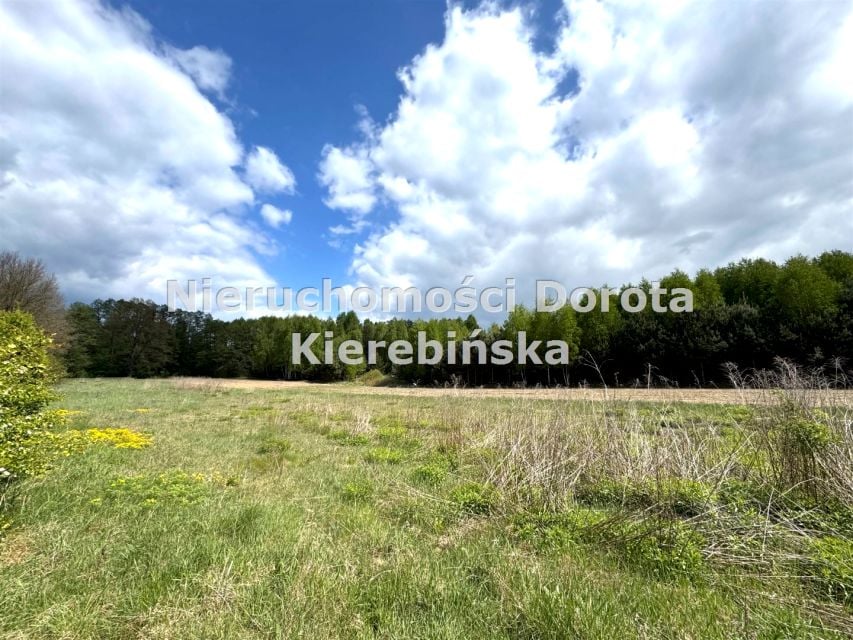 Działka inwestycyjna Bukowiec nad Pilicą
